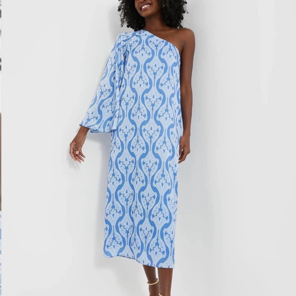 Tuckernuck Blue and White One-Shoulder Midi Dress